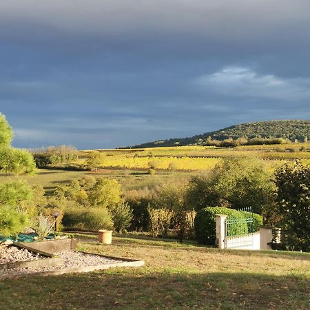 Studio Spacieux, Route Des Vins Rosheim المظهر الخارجي الصورة