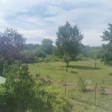 Studio Spacieux, Route Des Vins Rosheim المظهر الخارجي الصورة