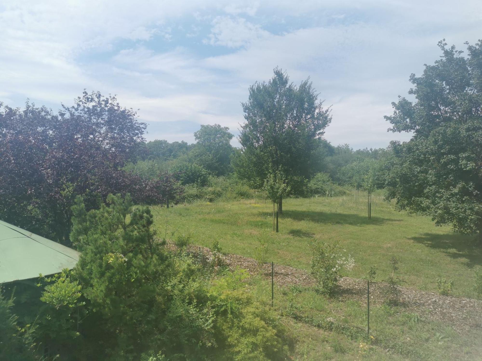 Studio Spacieux, Route Des Vins Rosheim المظهر الخارجي الصورة